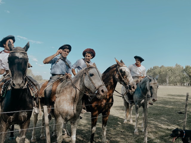 Descubre la carne argentina: tipos de reses, alimentación y cortes más populares